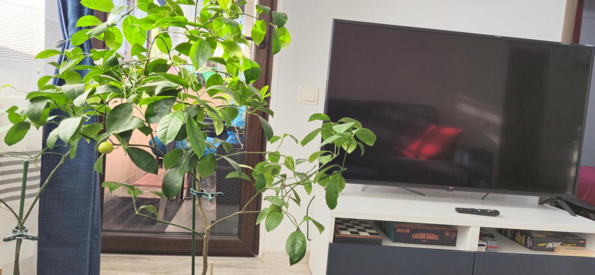 Littlebig Apartment Bucarest Esterno foto